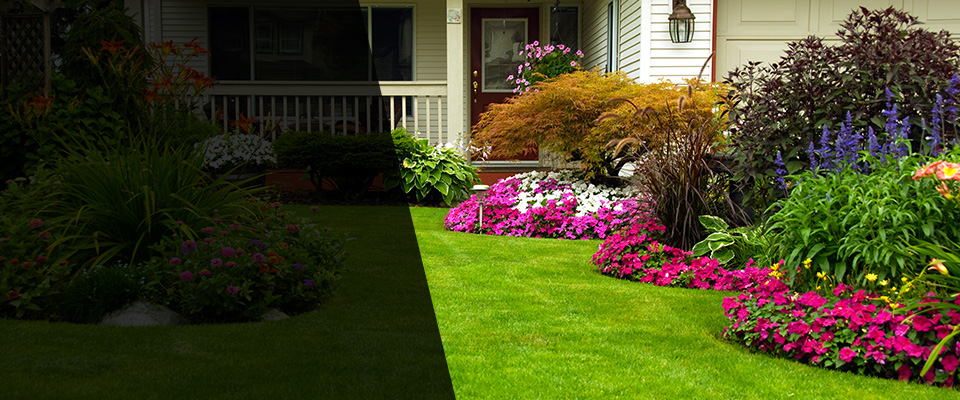 Silverhill Landscapers