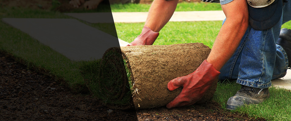 Silverhill Landscapers